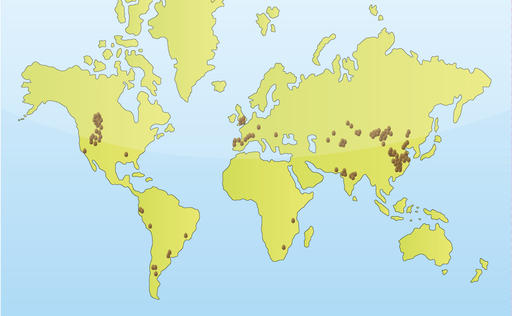 global-distributions