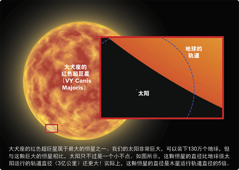 大犬座的红色超巨星与太阳