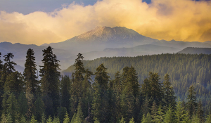 圣海伦火山的教训